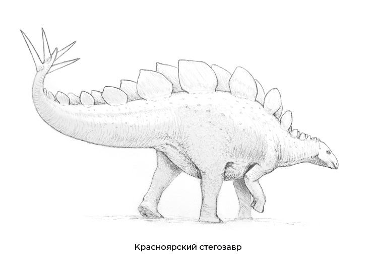 Книгаго: Динозавры России. Прошлое, настоящее, будущее. Иллюстрация № 7