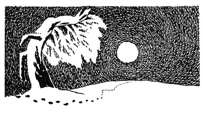 Книгаго: Волшебная зима. Иллюстрация № 3