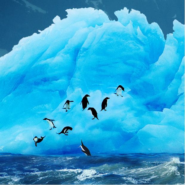 Книгаго: Чарующие айсберги Антарктиды. Иллюстрация № 3