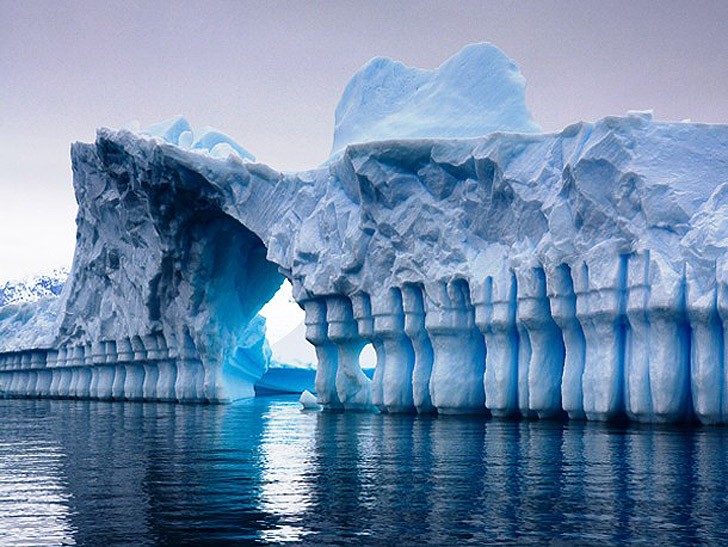 Книгаго: Чарующие айсберги Антарктиды. Иллюстрация № 6