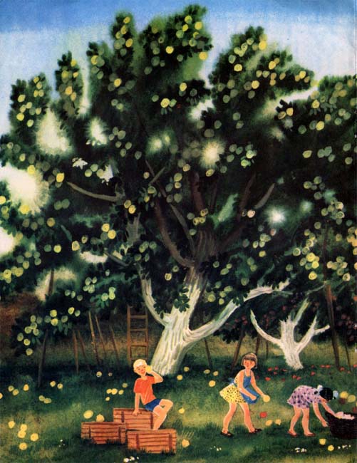 Книгаго: Грушевое яблочко. Иллюстрация № 4