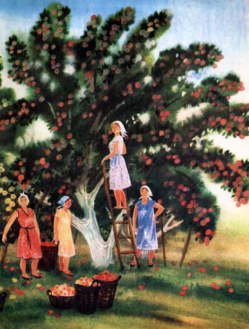 Книгаго: Грушевое яблочко. Иллюстрация № 5