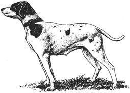 Книгаго: Дрессировка и натаска охотничьих собак. Иллюстрация № 1