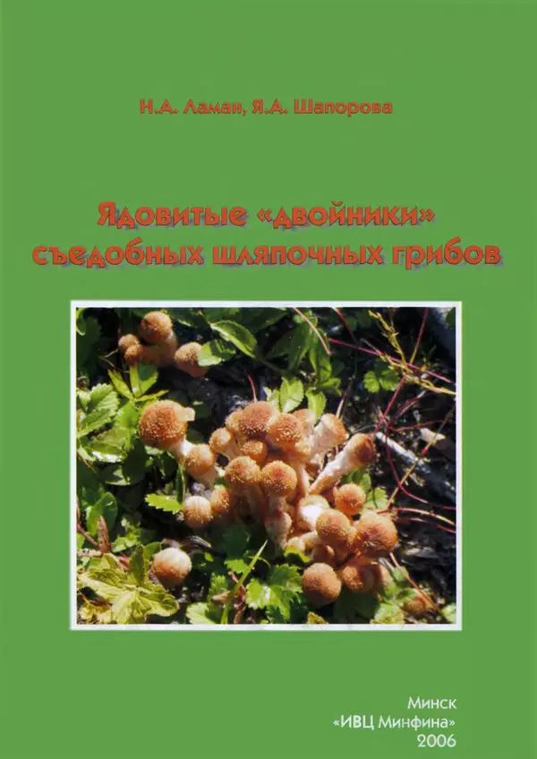 Книгаго: Ядовитые «двойники» съедобных шляпочных грибов. Иллюстрация № 1