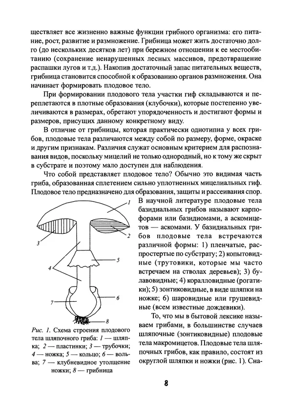 Книгаго: Ядовитые «двойники» съедобных шляпочных грибов. Иллюстрация № 9
