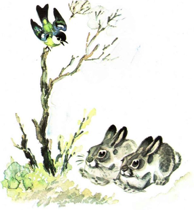 Книгаго: Весна в лесу. Иллюстрация № 19