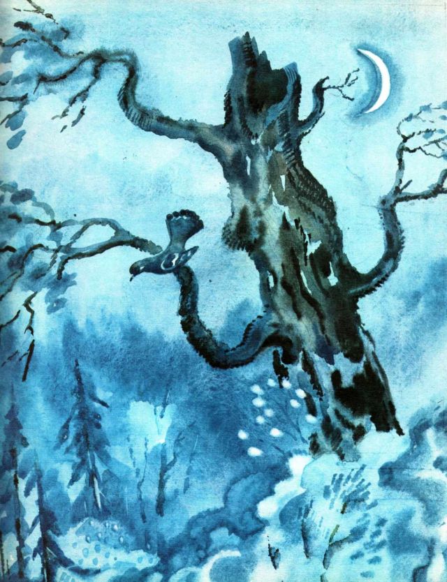 Книгаго: Весна в лесу. Иллюстрация № 25
