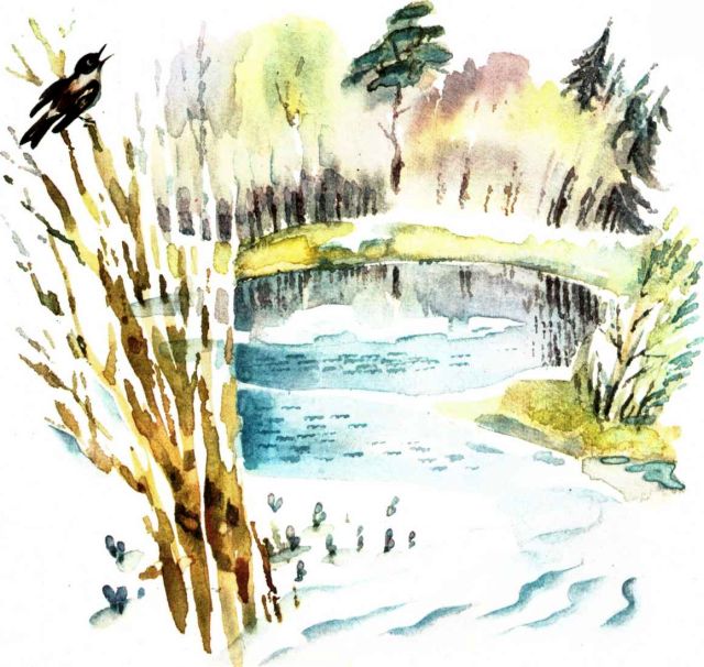 Книгаго: Весна в лесу. Иллюстрация № 3
