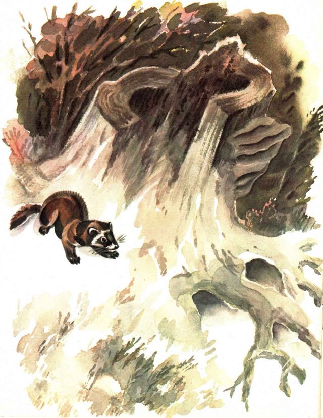 Книгаго: Весна в лесу. Иллюстрация № 5