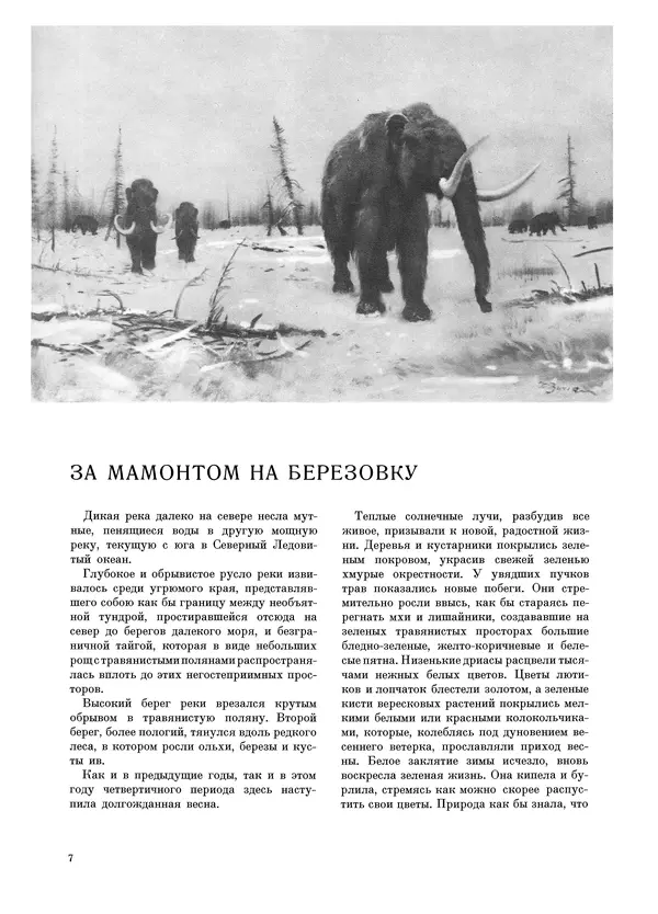 Книгаго: Книга о мамонтах. Иллюстрация № 6