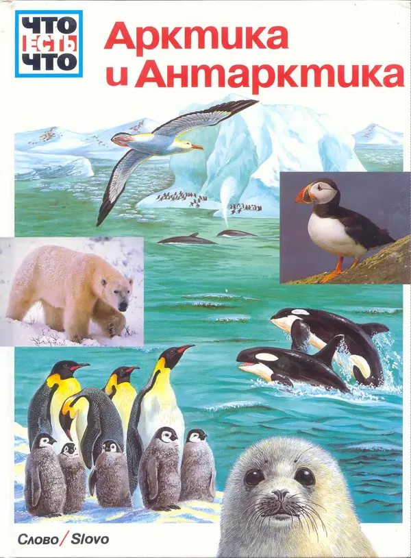 Книгаго: Арктика и Антарктика. Иллюстрация № 1
