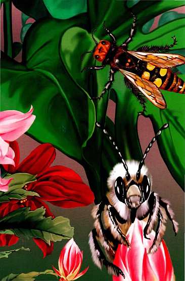 Книгаго: Жуки и другие удивительные насекомые. Иллюстрация № 3
