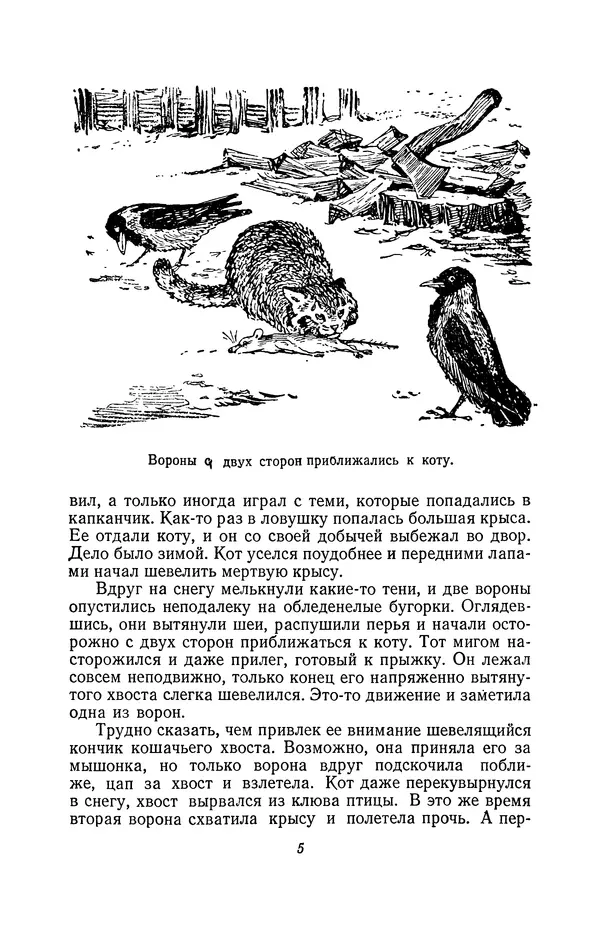 Книгаго: Про наших птиц. Иллюстрация № 7