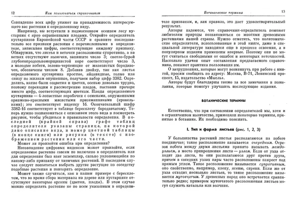 Книгаго: Деревья и кустарники СССР. Иллюстрация № 8