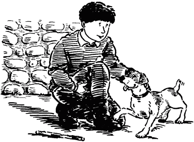 Книгаго: Собачье счастье. Иллюстрация № 1