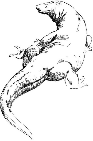 Книгаго: Змеи-гиганты и страшные ящеры. Иллюстрация № 2