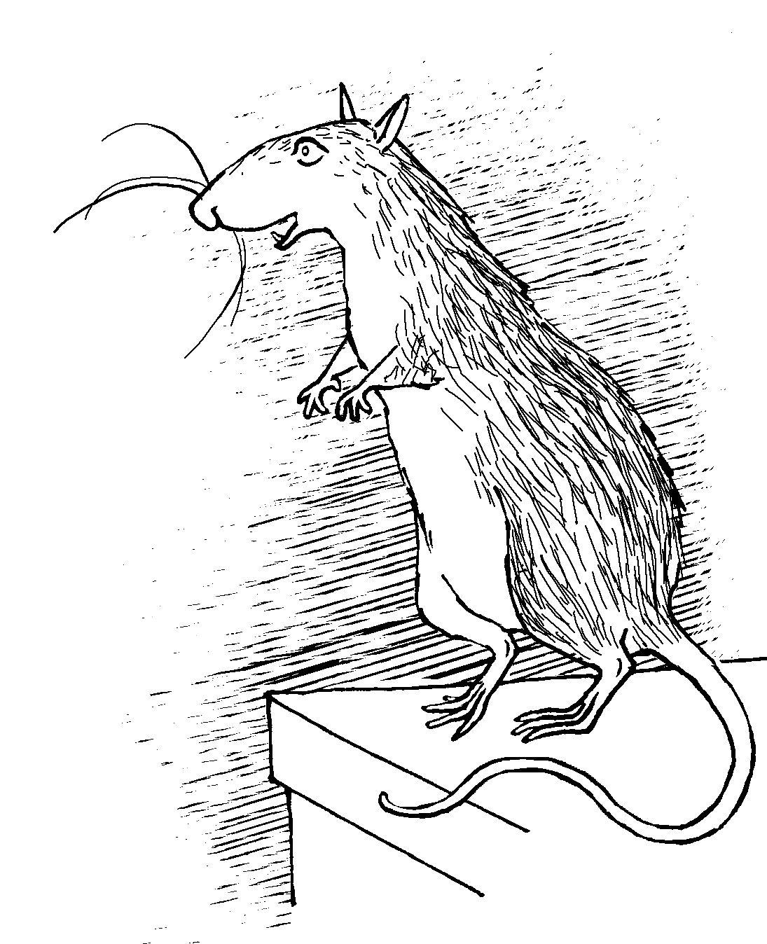 Книгаго: Крысявки 2.0. Иллюстрация № 2