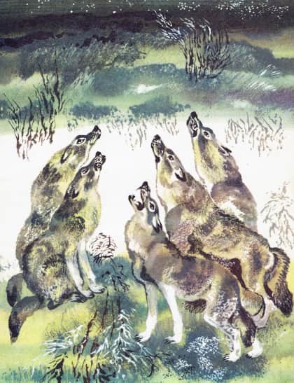 Книгаго: Жил был волк. Иллюстрация № 7