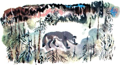Книгаго: Жил был волк. Иллюстрация № 8