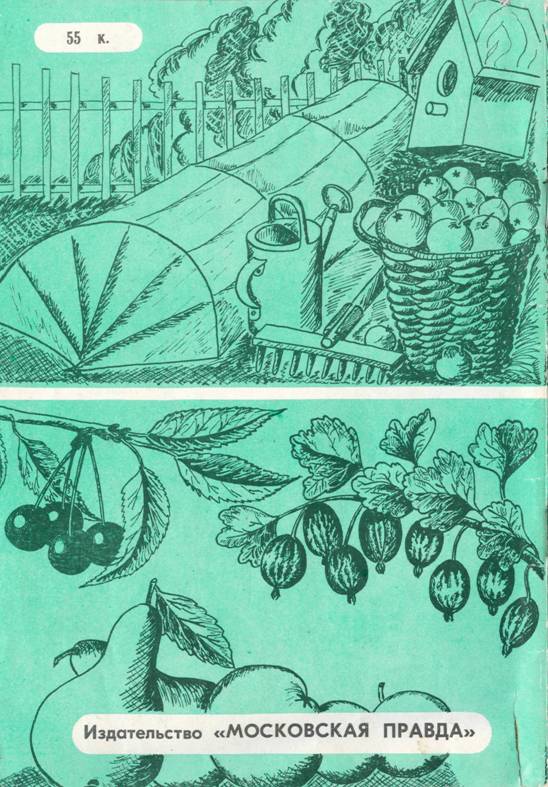 Книгаго: Поделки и советы для сада и огорода. Иллюстрация № 33
