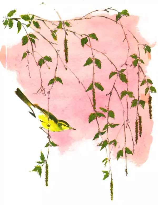 Книгаго: Хитрая птица. Иллюстрация № 2