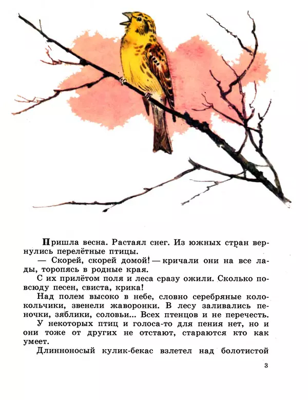 Книгаго: Хитрая птица. Иллюстрация № 3