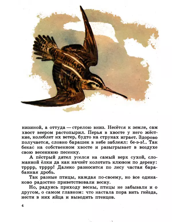 Книгаго: Хитрая птица. Иллюстрация № 4