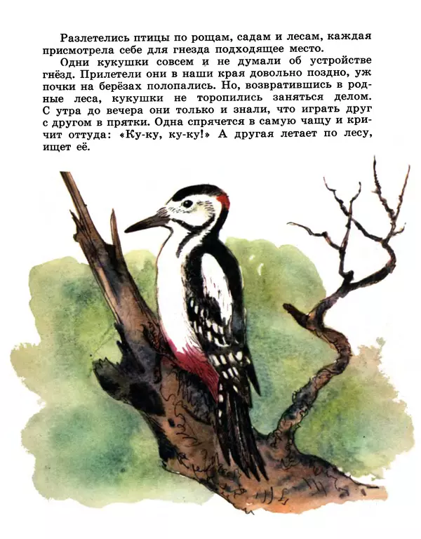 Книгаго: Хитрая птица. Иллюстрация № 5
