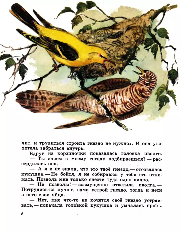 Книгаго: Хитрая птица. Иллюстрация № 8
