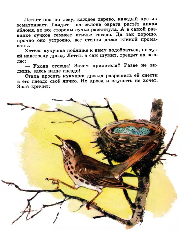 Книгаго: Хитрая птица. Иллюстрация № 9
