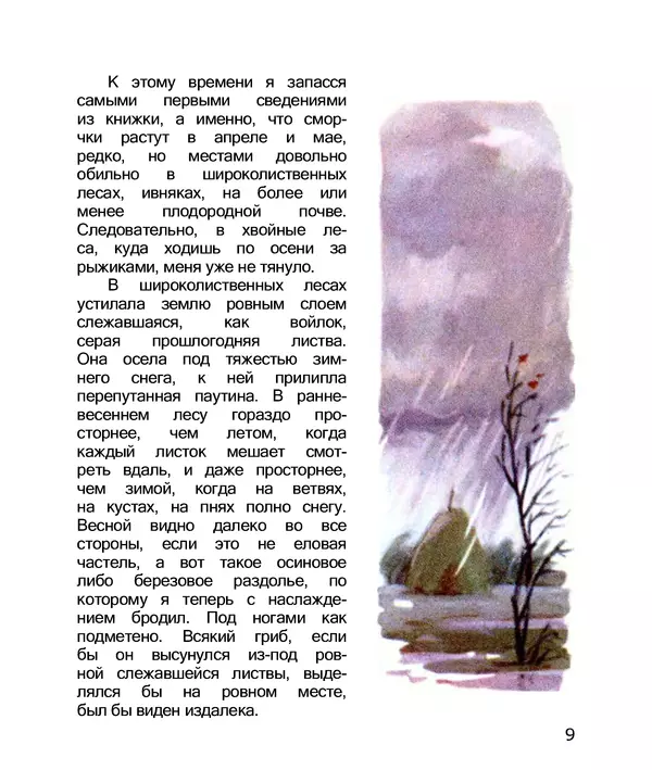 Книгаго: По грибы. Заметки фенолога. Иллюстрация № 11