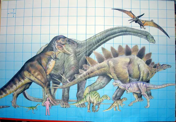 Книгаго: Атлас динозавров и других ископаемых животных. Иллюстрация № 2