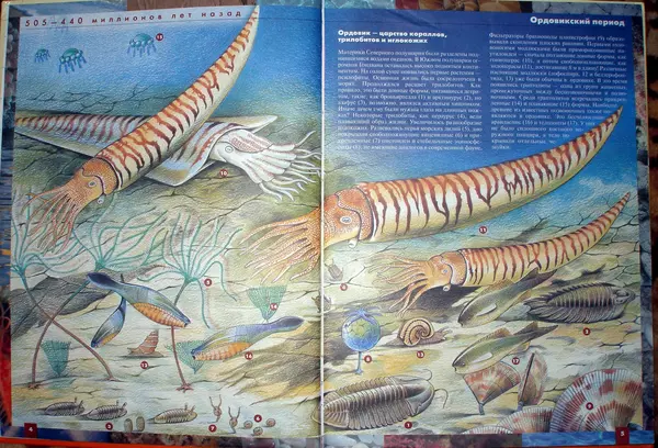 Книгаго: Атлас динозавров и других ископаемых животных. Иллюстрация № 5