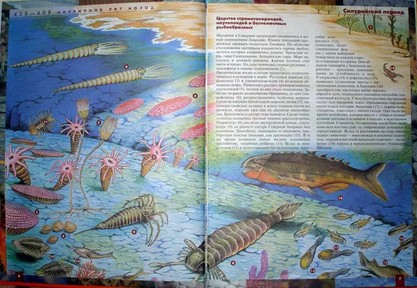 Книгаго: Атлас динозавров и других ископаемых животных. Иллюстрация № 6