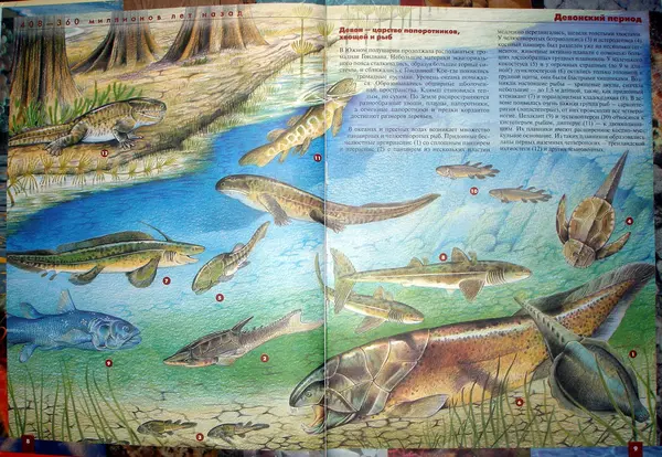 Книгаго: Атлас динозавров и других ископаемых животных. Иллюстрация № 7