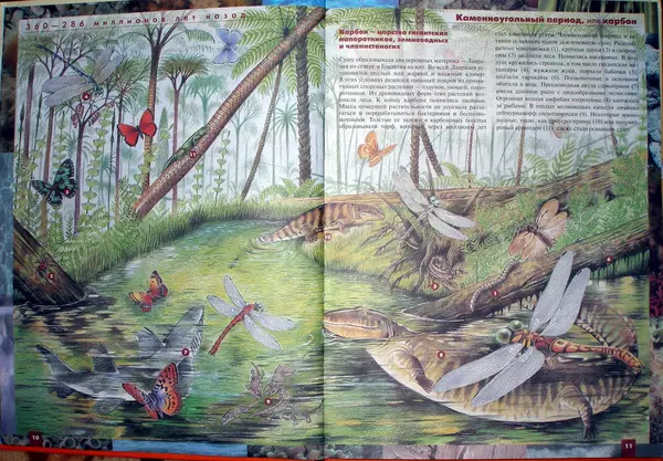 Книгаго: Атлас динозавров и других ископаемых животных. Иллюстрация № 8