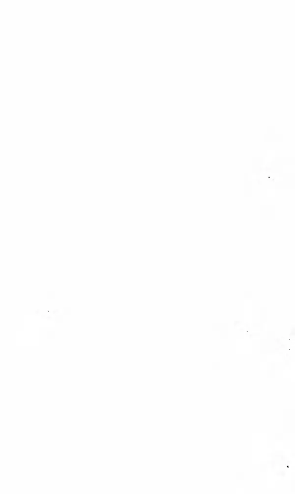 Книгаго: Русский период. Собрание сочинений в пяти томах. Том 3. Иллюстрация № 8
