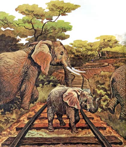 Книгаго: Слоненок. Иллюстрация № 7