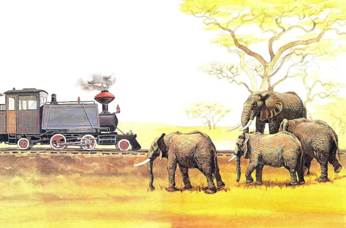 Книгаго: Слоненок. Иллюстрация № 8