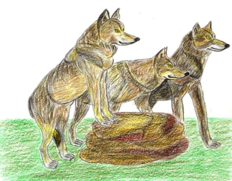 Книгаго: С семьёй волков. Сборник. Иллюстрация № 1