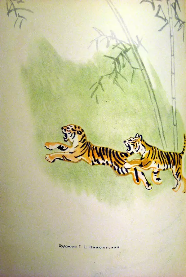 Книгаго: В какие игры играют тигры. Иллюстрация № 2