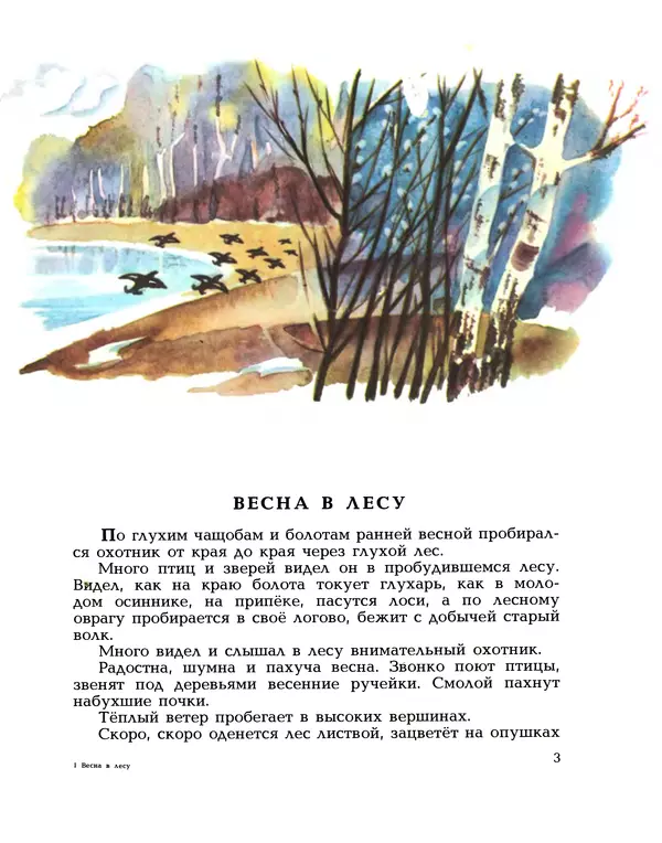 Книгаго: Весна в лесу. Иллюстрация № 3