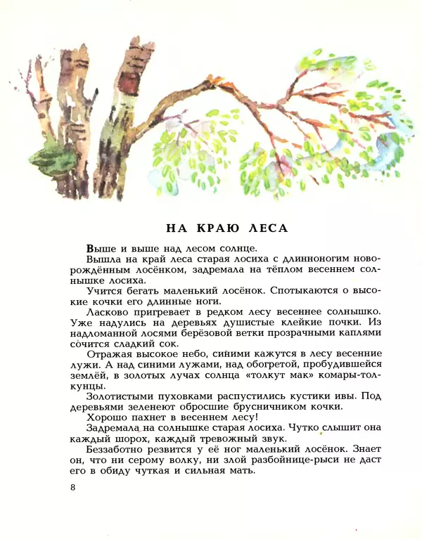 Книгаго: Весна в лесу. Иллюстрация № 8