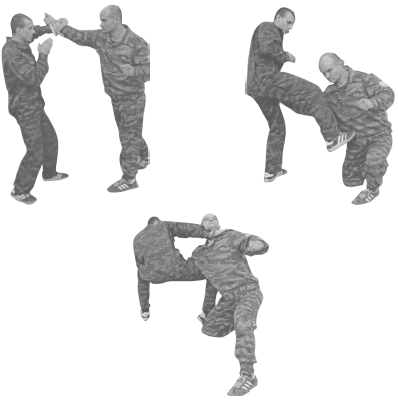 Книгаго: Русский рукопашный бой в 10 уроках. Иллюстрация № 3