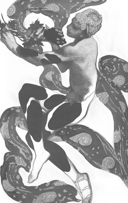 Книгаго: Ренессанс Русского балета. Иллюстрация № 1