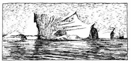 Книгаго: С викингами на Свальбард. Иллюстрация № 1