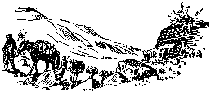 Книгаго: Это было в горах. Иллюстрация № 2