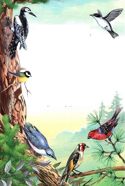Книгаго: Птицы. Иллюстрация № 15