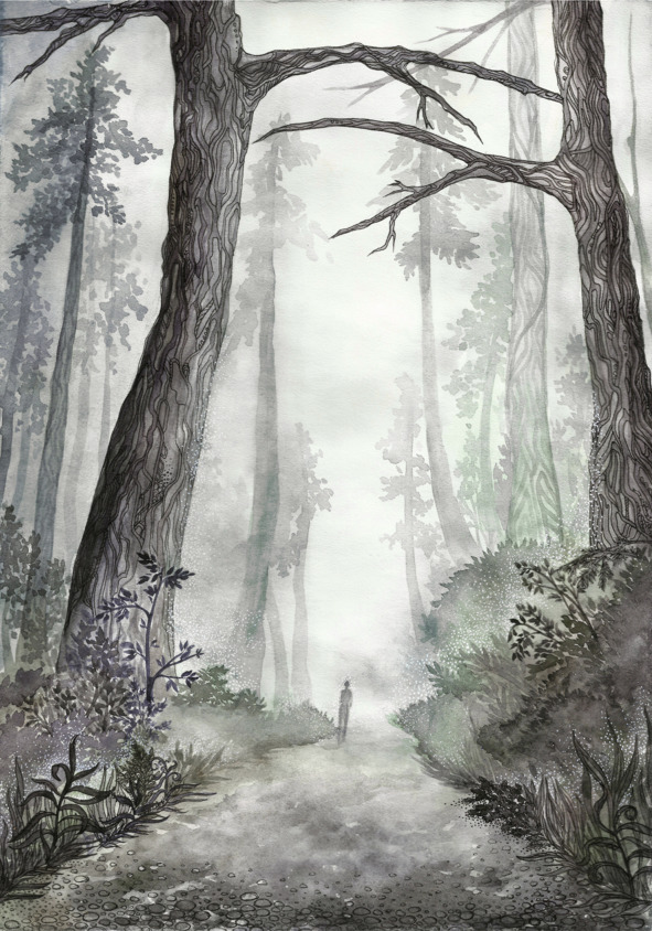 Книгаго: Две Совы, Река и Лес. Иллюстрация № 2