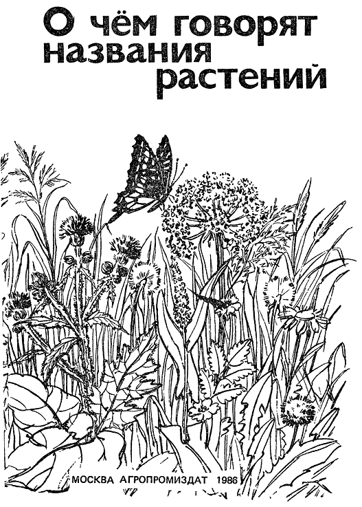 Книгаго: О чем говорят названия растений. Иллюстрация № 2